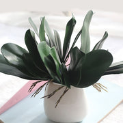 Phalaenopsis Leaf Artificial Plant | BuyBuy