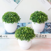 Artificial Plants Bonsai Pot | Small Bonsai Tree Pot | BuyBuy
