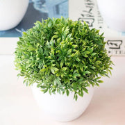 Artificial Plants Bonsai Pot | Small Bonsai Tree Pot | BuyBuy